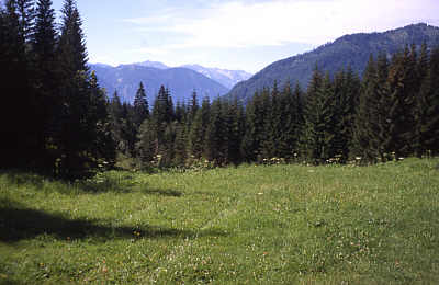 Blick vom K�ckensattel
