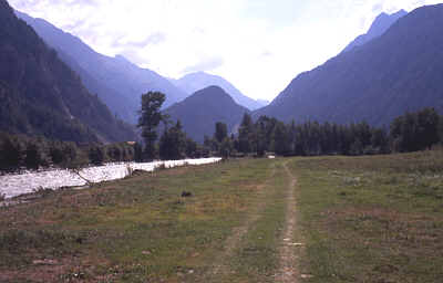�tztal